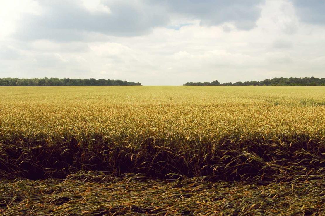 Cumque dolore voluptatem necessitatibus repellendus rerum