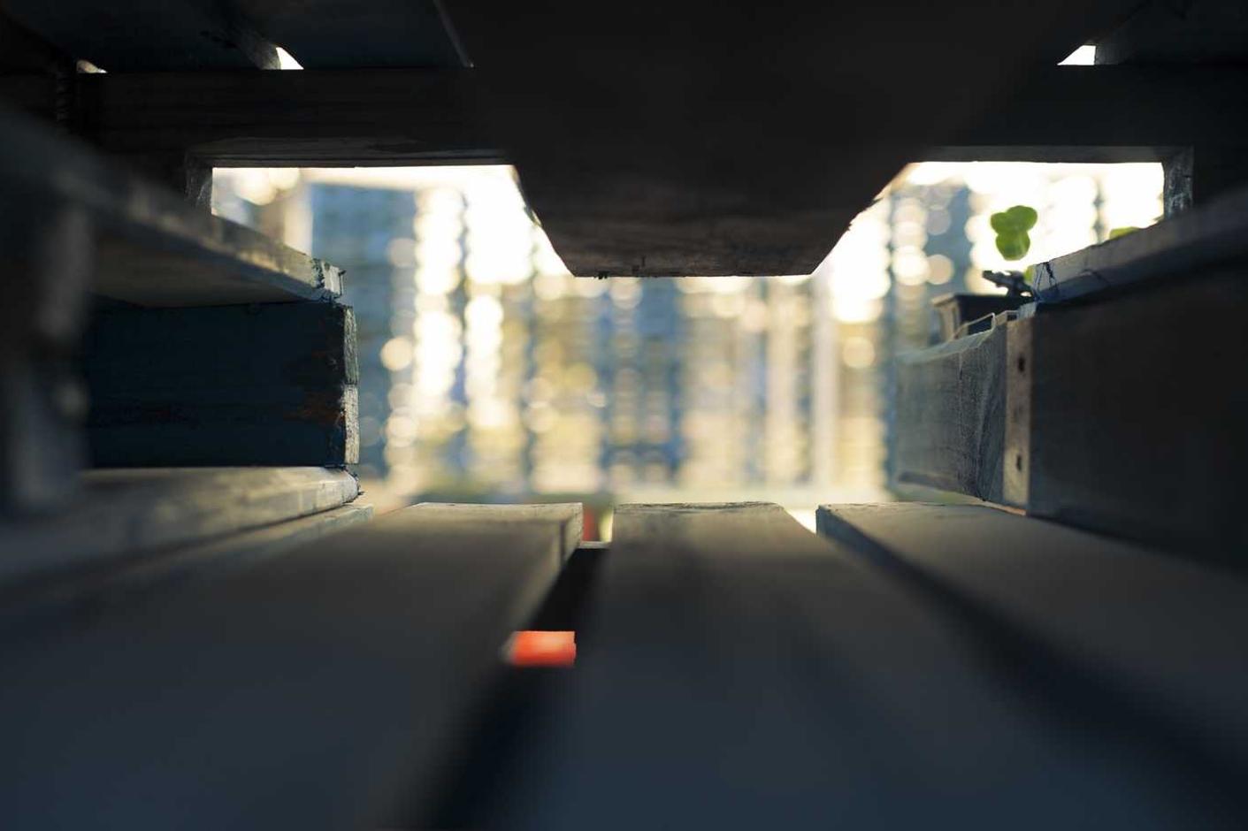 Esse aut ut quas exercitationem harum